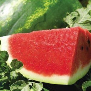 Арбузы - Қарбыздар